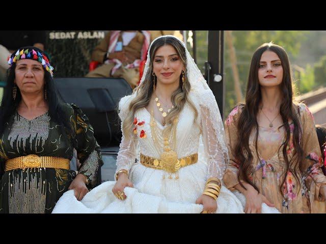 Hakkari Çukurca Düğünleri | Sedat Aslan Yılmaz Ailesi Nerweyi Aşireti Düğünü ©️2024 Kurdish Wedding