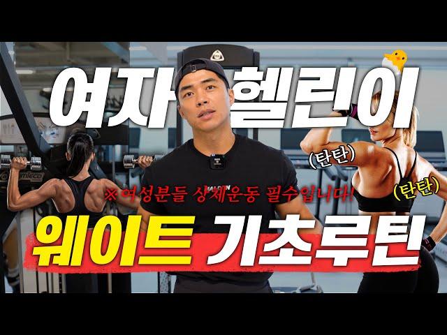 '여자 헬린이' 분들을 위한 상+하체 웨이트 기초 루틴