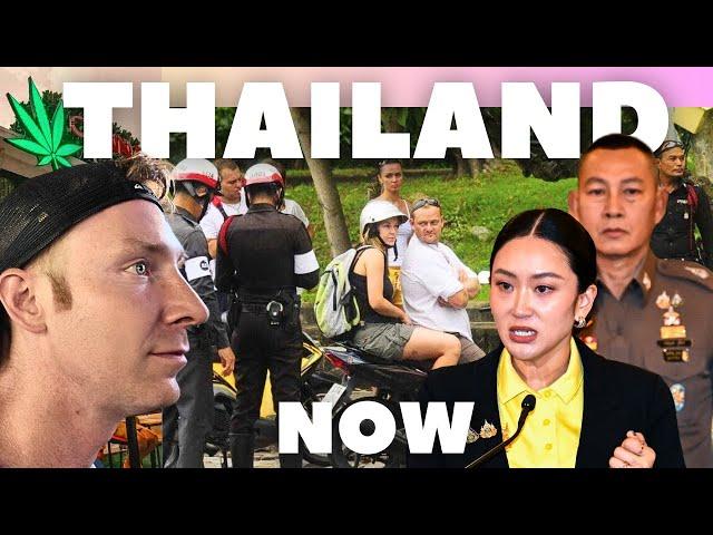 Political Crisis, New Driving Rules for Foreigners & Cannabis Regulations - Thailand Update