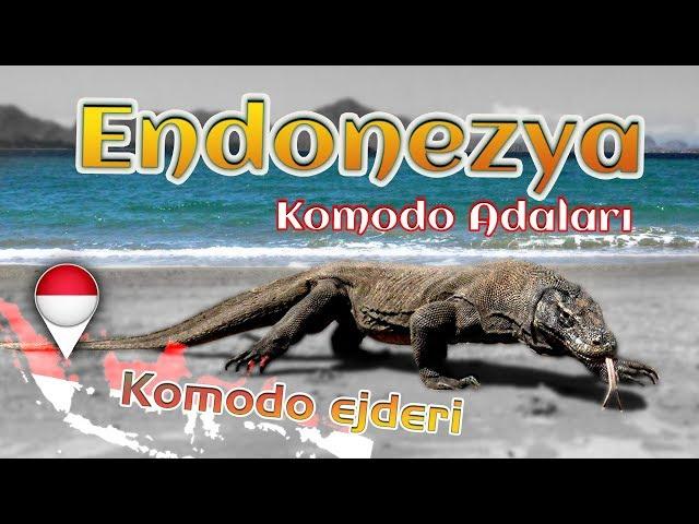 Endonezya Komodo Adaları ( indonesia komodo islands )