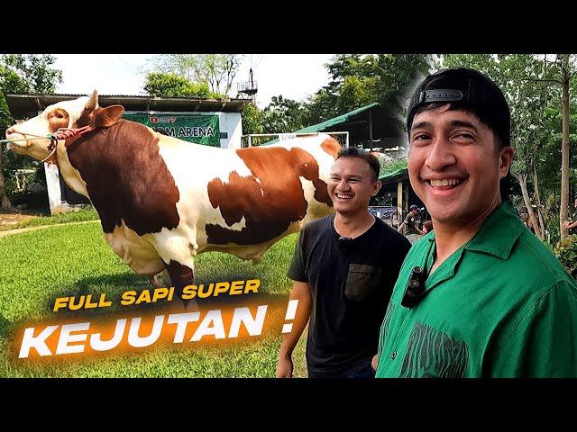 Kandang Sapi Qurban Langganan Artis, Ada Sapi Jumbo 1 Ton Up! Spil Sapi Kejutan Untuk Irfan hakim