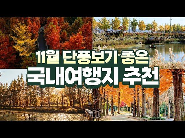 늦가을 단풍을 보고싶다면 바로 이곳 11월 국내여행지 추천