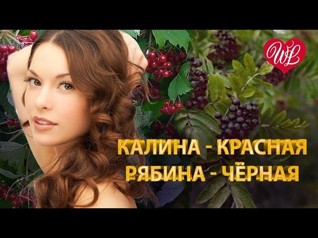 КАЛИНА КРАСНАЯ  РЯБИНА ЧЕРНАЯ  МУЗЫКА ДУШИ WLV  ДУШЕВНЫЙ ХИТ-ДУША ТАНЦУЕТ  RUSSISCHE MUSIK