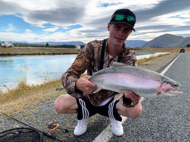 FISHING For GIANT TROUT In The TWIZEL CANALS.