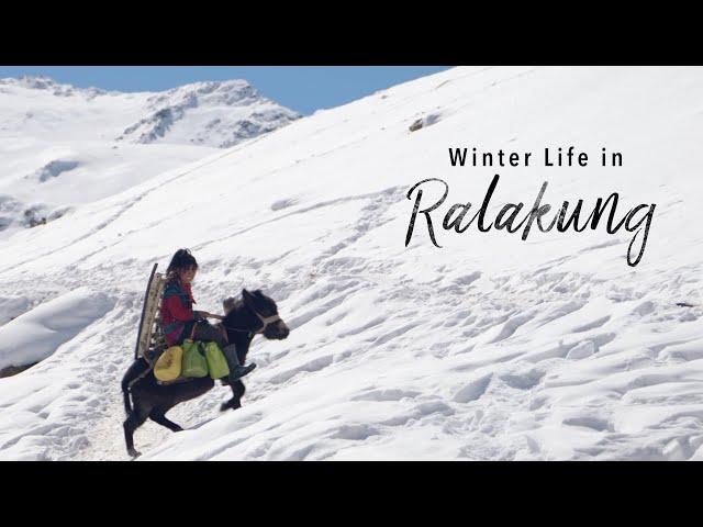 Unseen Winter Life in Zanskar's Remote Ralakung Village