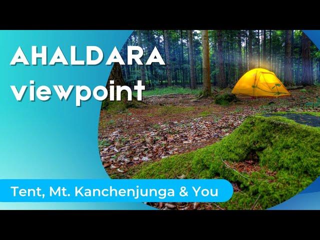 AHALDARA VIEWPOINT & SITONG | New Offbeat Location Near Siliguri #Discoversiliguri