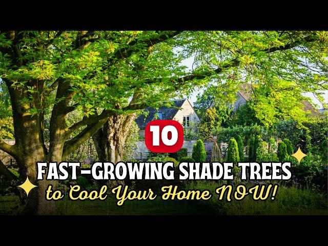Impatient Gardener? Top 10 Fast-Growing Shade Trees to Cool Your Home NOW! 