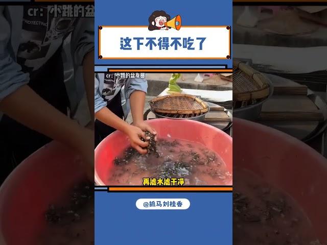 这下不得不吃了 #花蜘蛛 #万万没想到 #云南美食 #大数据推荐给有需要的人 #娱乐评论大赏#shorts