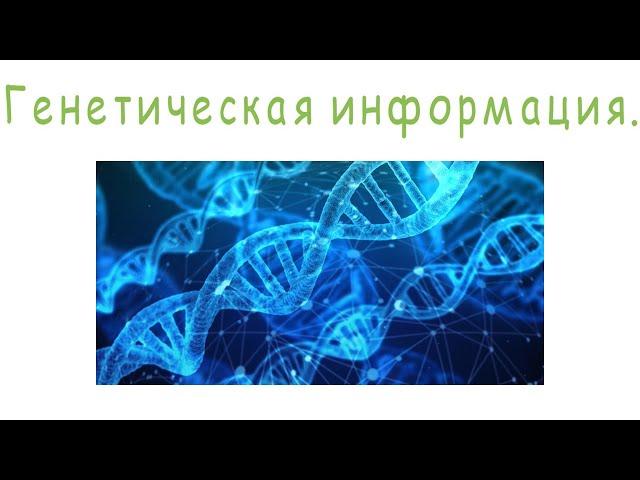 Генетическая информация