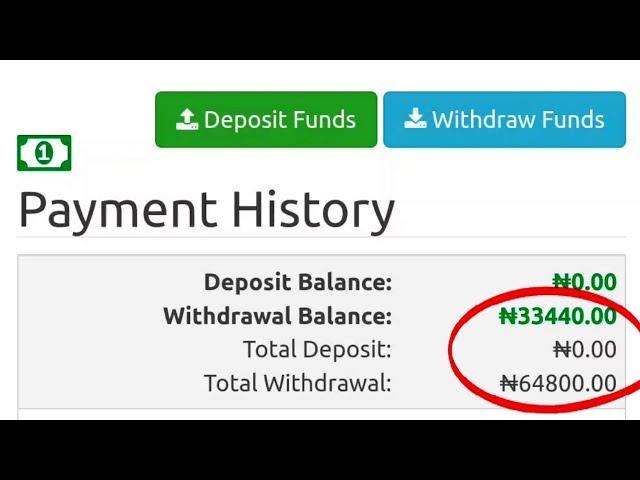 I Earned ₦64,000 Naira From This Secret Website (In Nigeria)