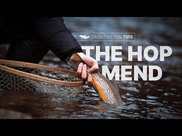 The Hop Mend -- Troutbitten Tips