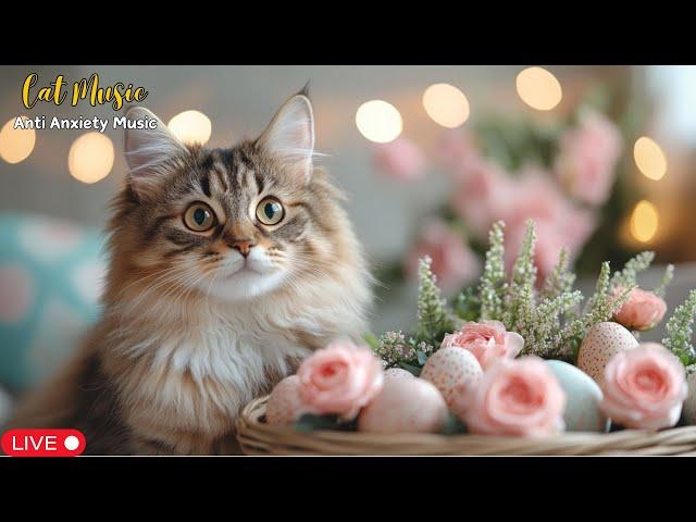 Relaxing Music For Cat: Soothing Music to Reduce Anxiety and Create a Calm, Sleep Well 