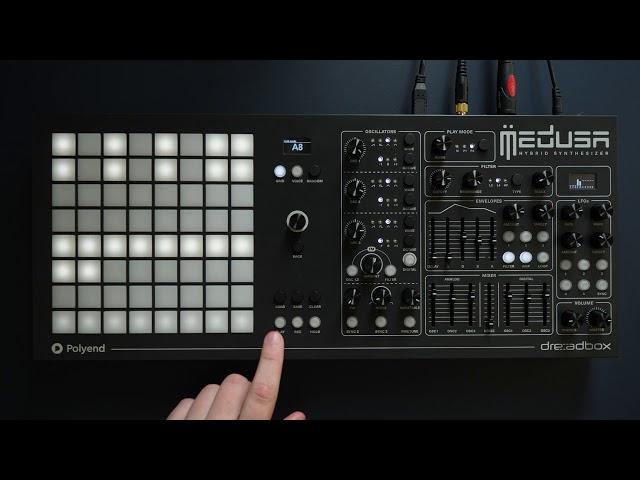 Medusa Hybrid Synthesizer - The Grid modulators