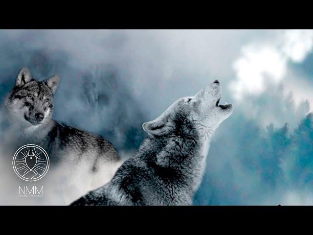 Native American Meditation Music: Flute Music, Spiritual Healing music, Shamanic Meditation Music