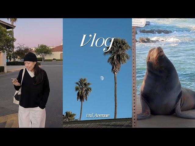 vlog. San Diego Ep,1. Sea lion Western coast. Palm Trees Full of food. New York Freelancer