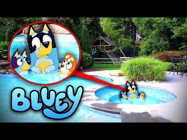 BLUEY & BINGO POOL PARTY IN REAL LIFE!! (BLUEY MOVIE)