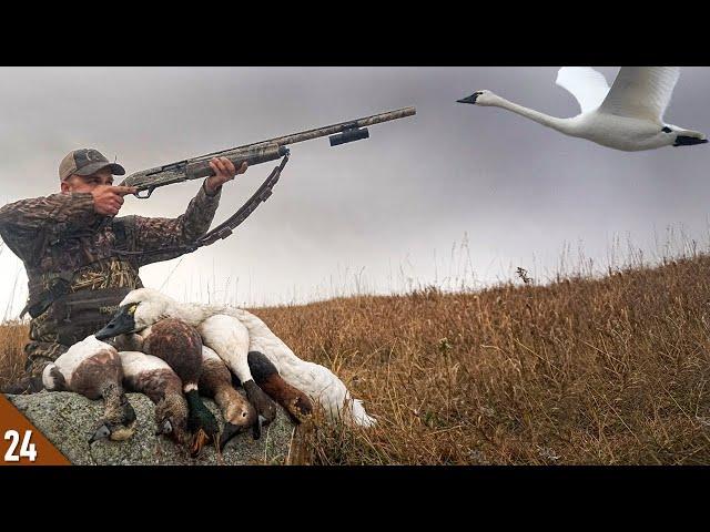 HUNT of a LIFETIME! Mixed Bag Duck LIMIT and My FIRST Swan! | Hunting a BIG Lake for Ducks and Swans