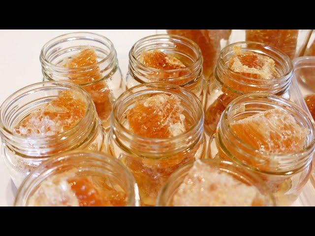 Harvesting the most beautiful honeycomb from traditional Japanese beehive.