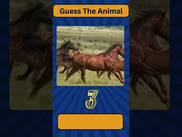 Guess The Animal 24 | Quiz Tunnel