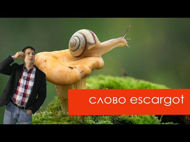 Французское слово escargot (улитка)