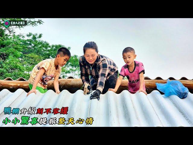 小小驚喜提振整天心情，鴨棚升級刻不容緩《女人之苦》33