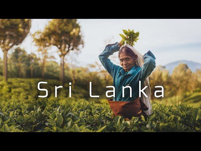 Sri Lanka. The best place to spend winter.