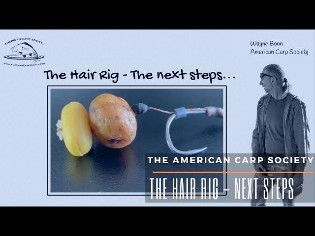 THE AMERICAN CARP SOCIETY - THE HAIR RIG - NEXT STEPS