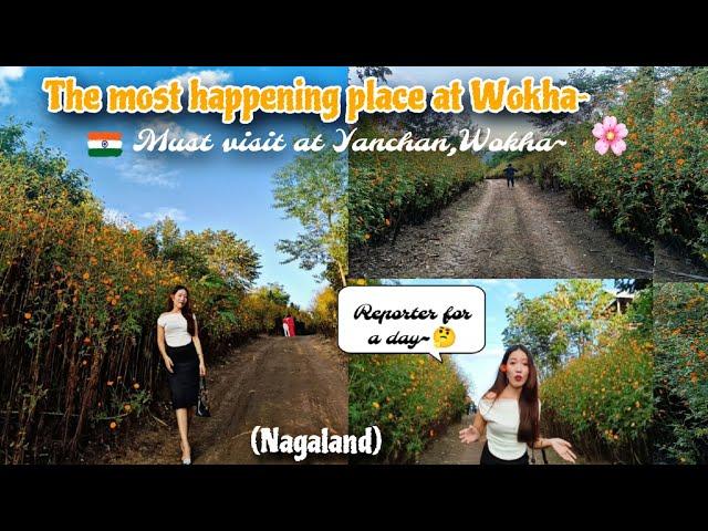 Most happening place at Wokha|| Must visit Yanchan, Wokha||Wokha; Nagaland||Naga girl|Arin Naga