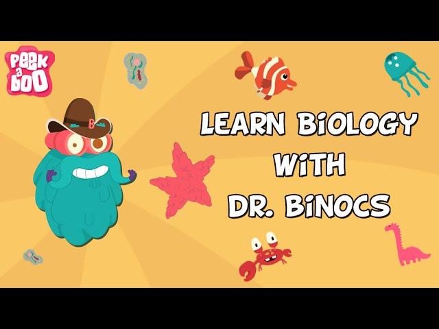 Learn Biology With Dr. Binocs |  Compilation | Learn Videos For Kids