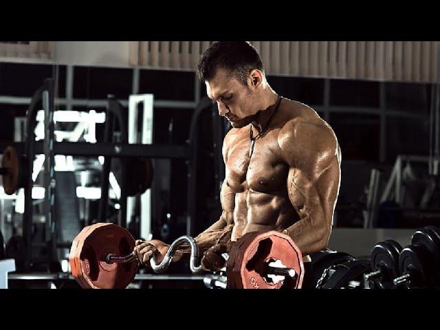 Best Workout Music Mix 2024  Best Gym Music 2024  Gym Motivation Music #12