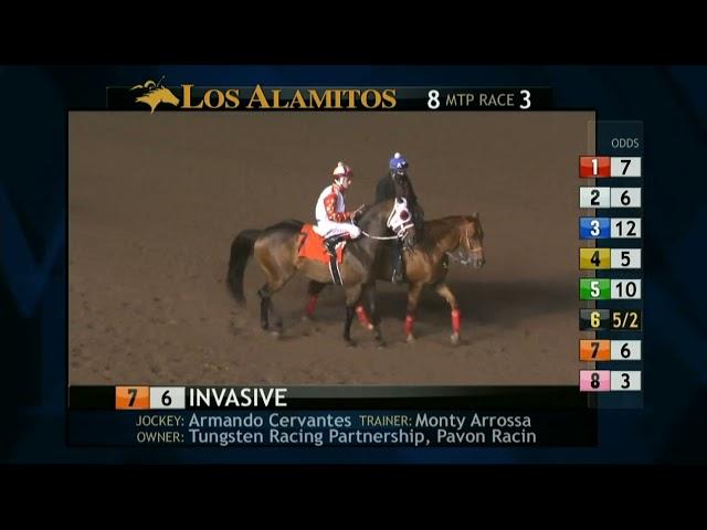 Los Alamitos Replay - Sunday, November 24 - Race 3 Futurity Trial