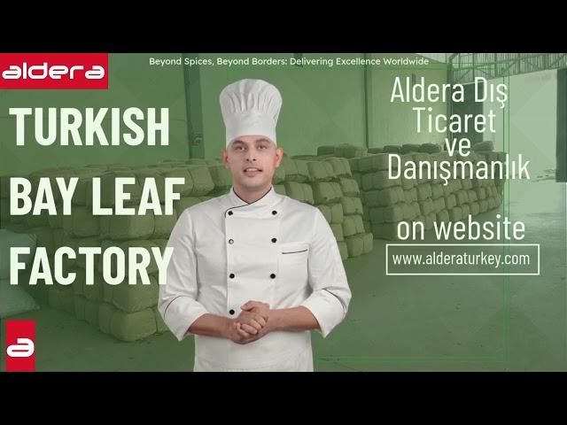 Bay Leaf Factory in Turkey