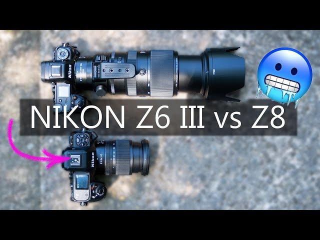 NIKON Z6 III vs NIKON Z8  VERNICHTET auf der Autofokus-Teststrecke?