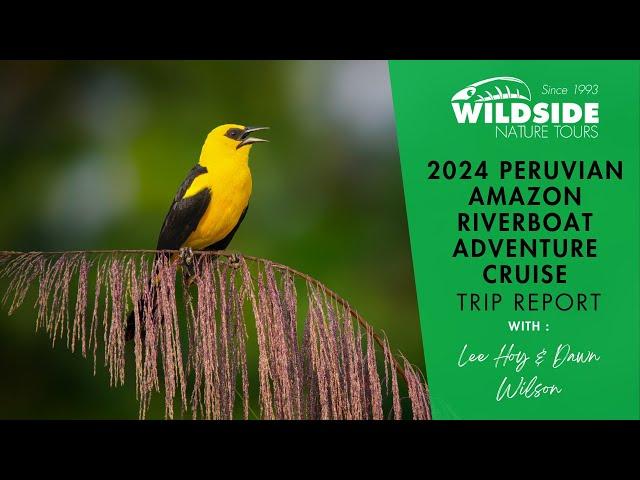 2024 Peruvian Amazon Riverboat Adventure Cruise Trip Report - Wildside Nature Tours