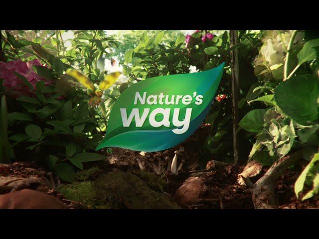 Nature's Way Alive Multivitamins