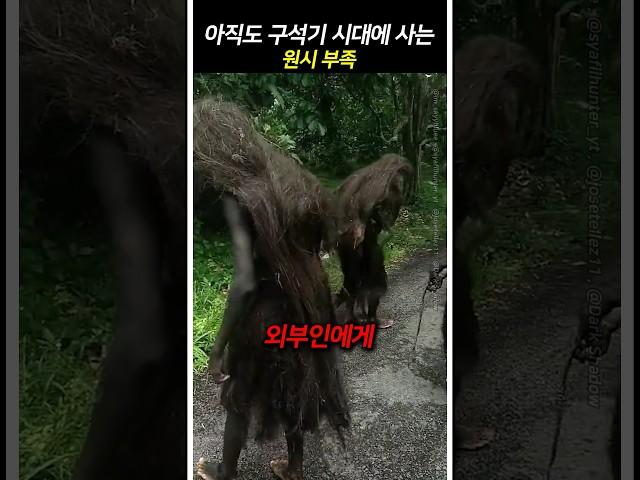 아직도 구석기 시대에 사는 원시 부족