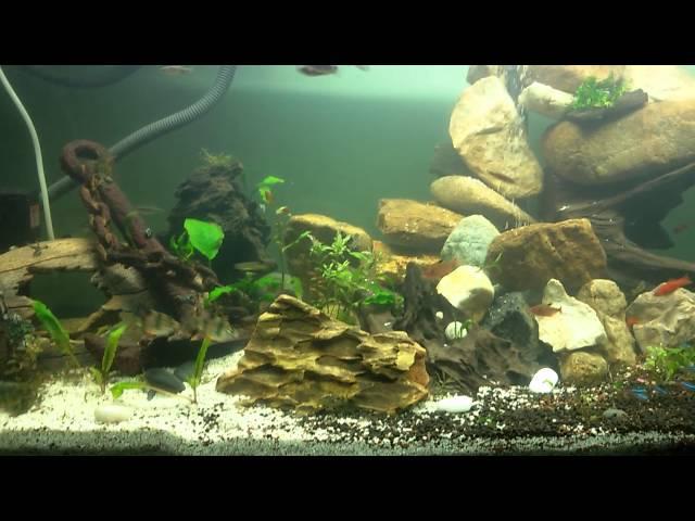 My Aquascape Waterfall