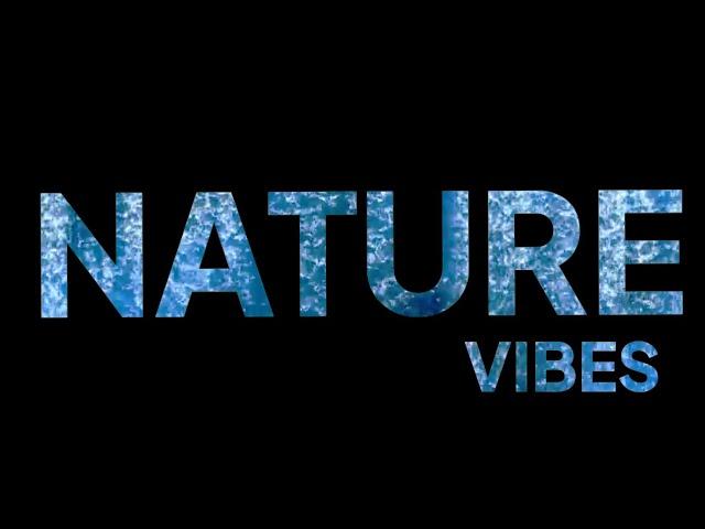 Nature vibes no copyright music || kuldex ncs ||