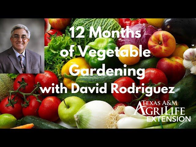 12 Months of Vegetable Gardening by David Rodriguez