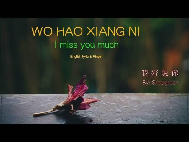 Wo Hao Xiang Ni lyric (I Miss You Much) - Pinyin & English - Learn Chinese by songs