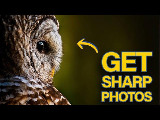 Why Your Photos Aren’t SHARP - Here's how to Fix It!