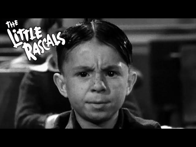 Teacher's Beau | Little Rascals Shorts | 1935 | Classic Comedy, Our Gang