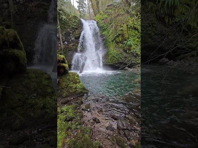 Small creek, big beautiful waterfall!  #nature #oregoncoast