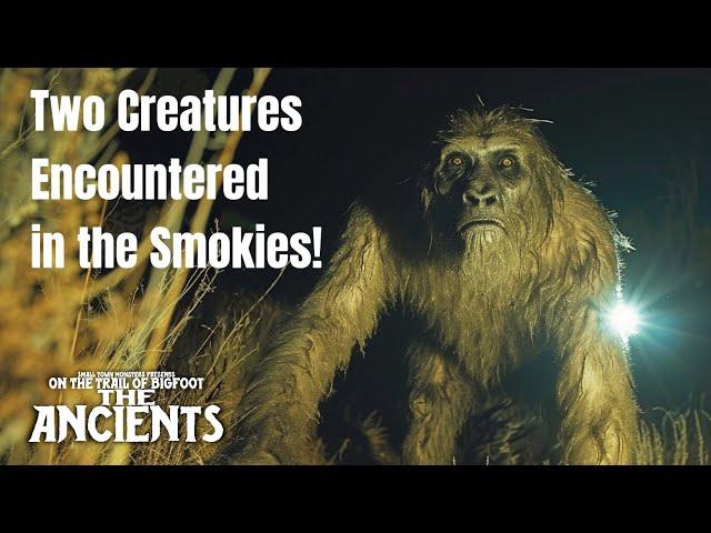 "There were two!" A Sasquatch Encounter in the Smokies - On the Trail of Bigfoot: The Ancients CLIP