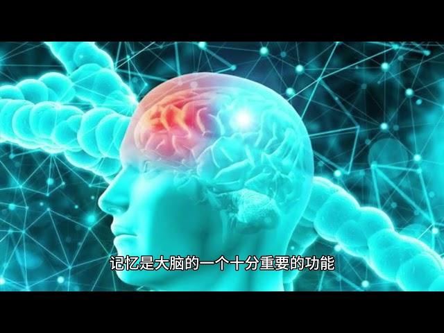 大脑是如何思考和记忆的？解密神经科学的奥秘