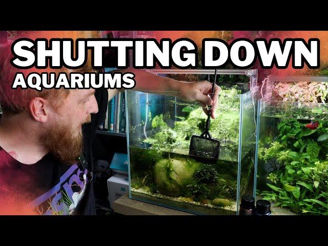 Problem aquarium SHUT DOWN (How to)