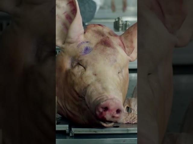 Фильм "Батя", Рекомендую