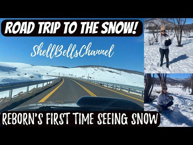 REBORN BABY goes on a ROAD TRIP to the SNOW!