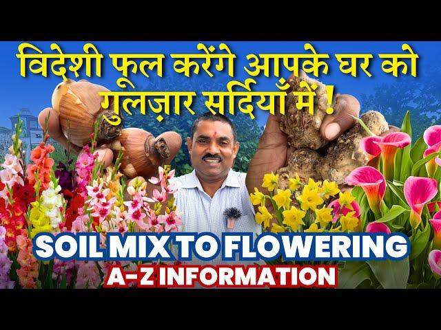 विदेशी फूल करेंगे आपके घर को गुलज़ार सर्दियाँ में || Soil mix to Flowering || A-Z Information