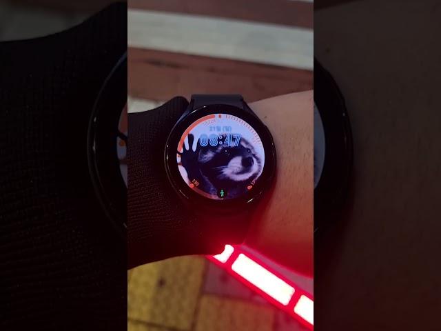 Why I use the Galaxy Watch! #pedro #samsung #galaxywatch #raccoon #wallpaper #meme